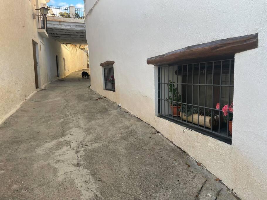 Mecina FondalesLa Cuadra De Anita别墅 外观 照片
