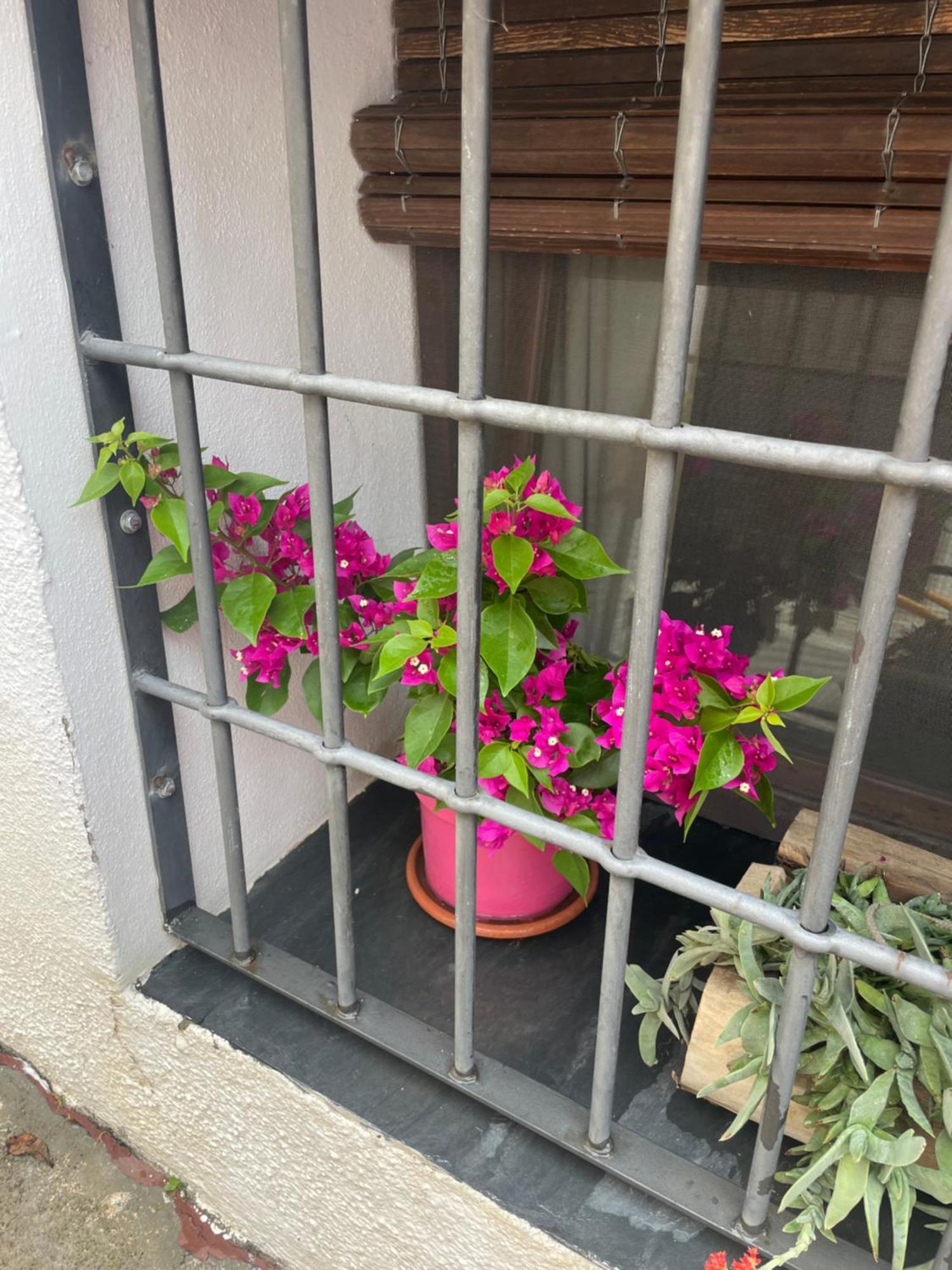 Mecina FondalesLa Cuadra De Anita别墅 外观 照片