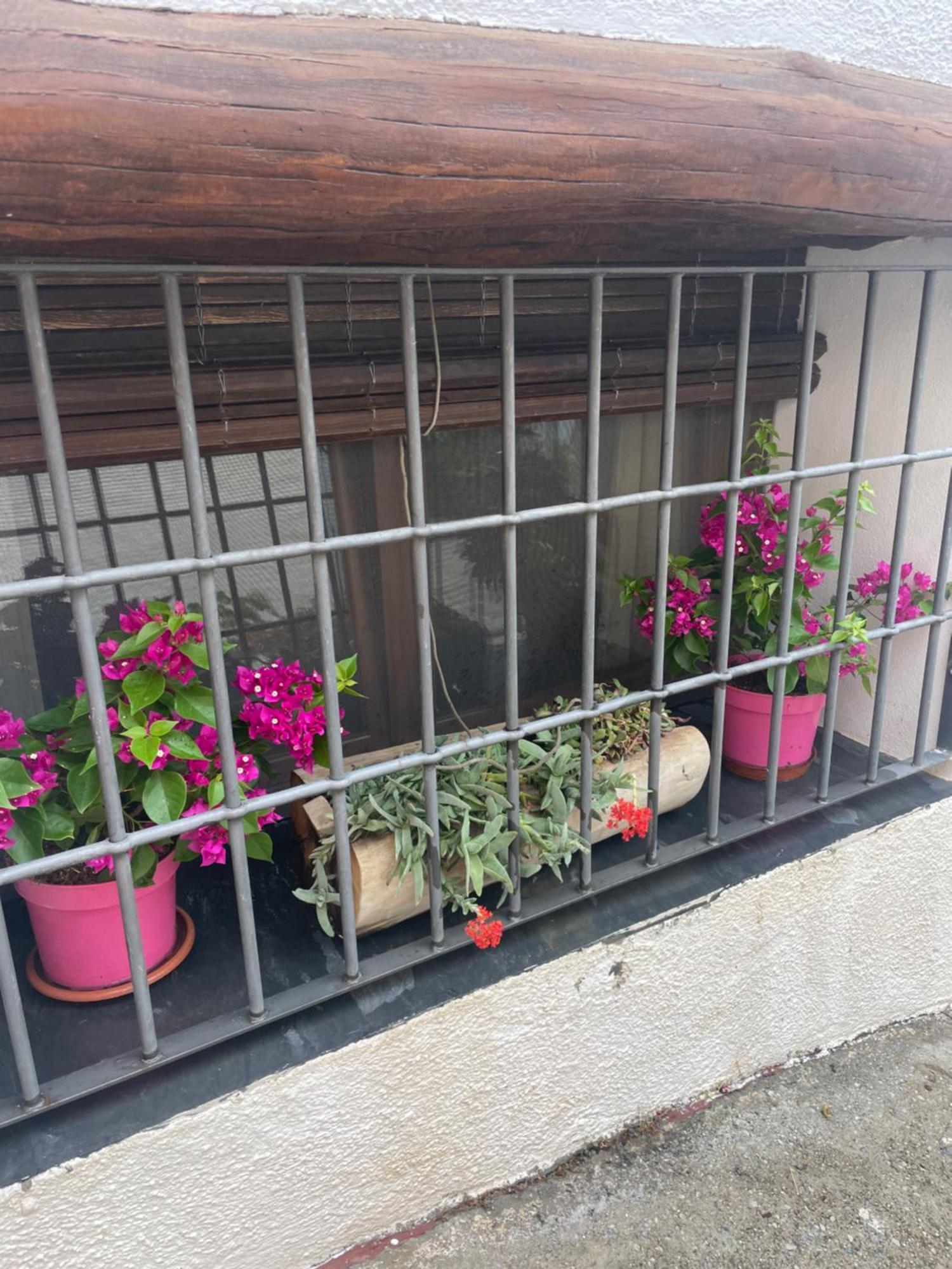 Mecina FondalesLa Cuadra De Anita别墅 外观 照片